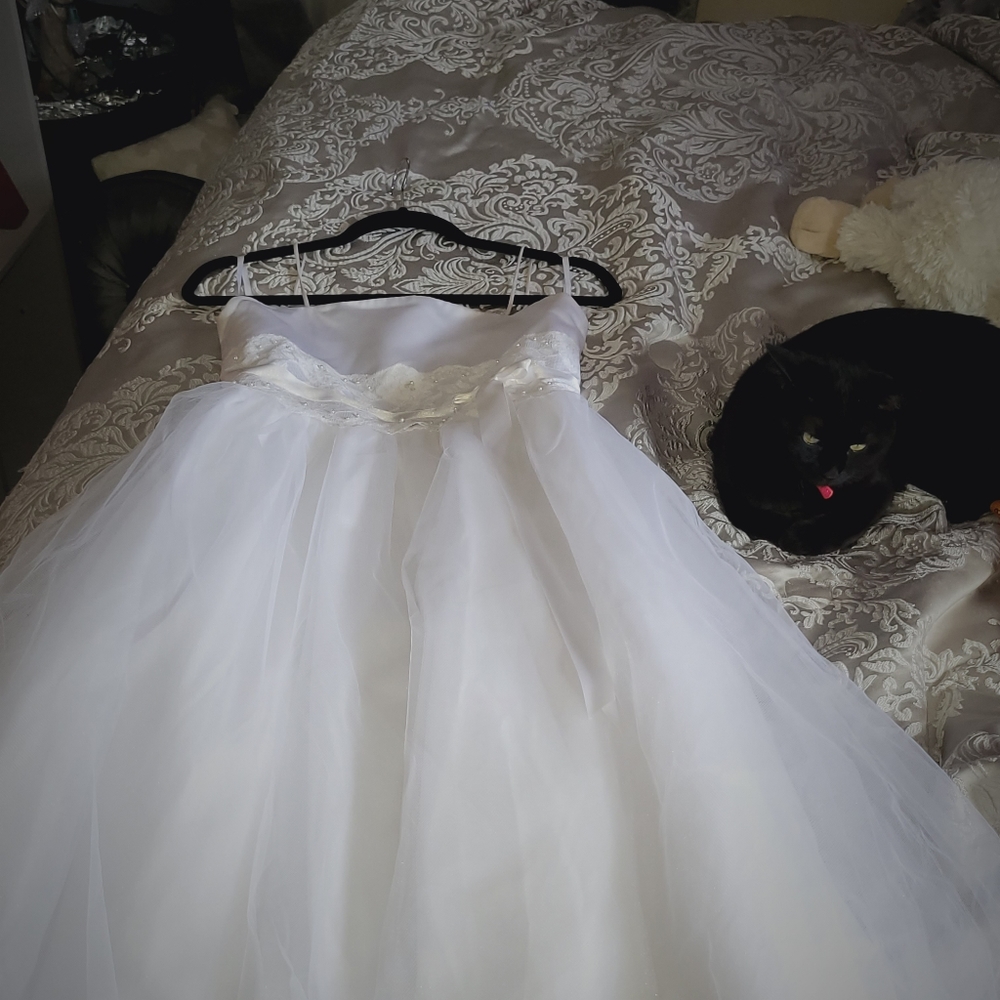 Dress - Picture 4 of 7
